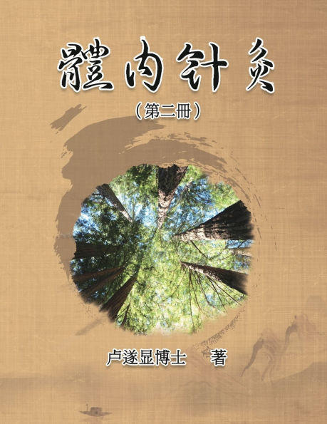 體內針灸（第二冊）: Internal Acupuncture (Volume 2)
