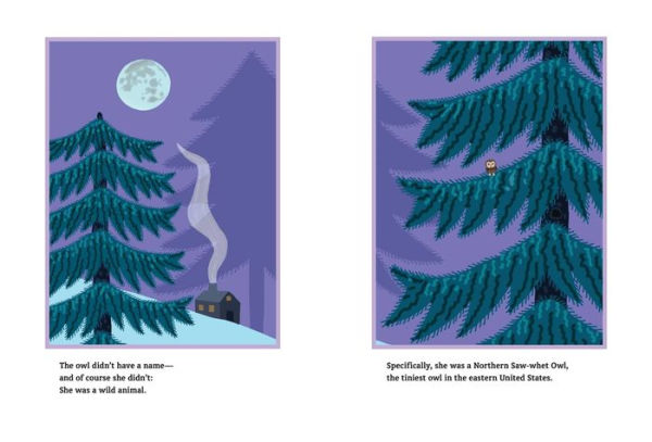 The Little Owl & the Big Tree: A Christmas Story