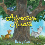 Title: Adventure Awaits, Author: Henry Cole