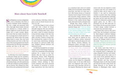 Alternative view 15 of A Curious Mind and a Very Big Heart: The Story of Designer and Innovator Sara Little Turnbull