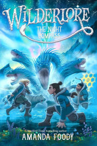 Books download free pdf format The Night Compass RTF PDB by Amanda Foody in English 9781665910781