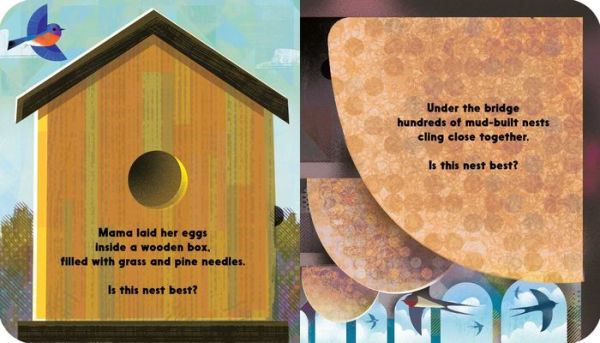 Whose Nest Is Best?: A Lift-the-Flap Book