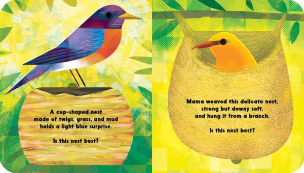 Whose Nest Is Best?: A Lift-the-Flap Book