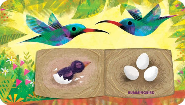 Whose Nest Is Best?: A Lift-the-Flap Book