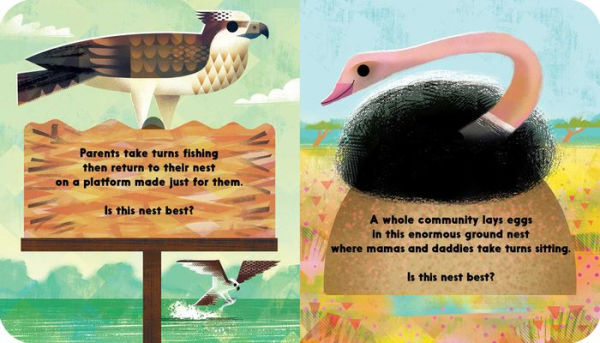 Whose Nest Is Best?: A Lift-the-Flap Book