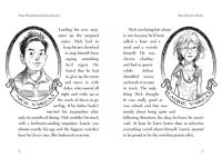 Alternative view 7 of The Nixie's Song (Beyond the Spiderwick Chronicles Series #1)