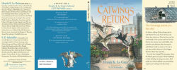 Alternative view 3 of Catwings Return