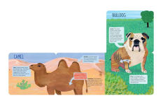Alternative view 4 of O Is for Ossicone: A Surprising Animal Alphabet