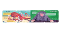 Alternative view 8 of O Is for Ossicone: A Surprising Animal Alphabet