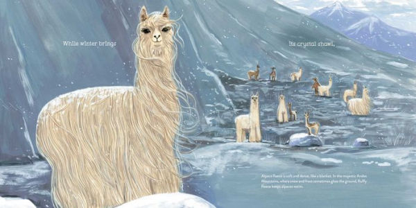 Alpacas Here, There