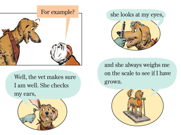 Elvis & Romeo Visit the Vet: Ready-to-Read Level 1