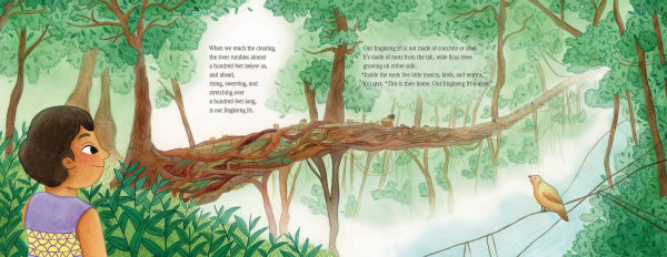 Living Bridges: The Hidden World of India's Woven Trees