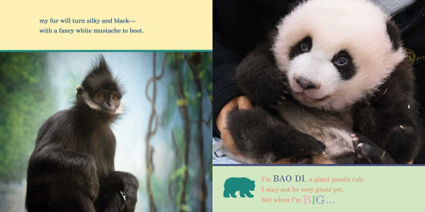 ZooBorns! When I'm Big