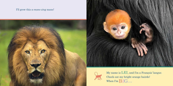 ZooBorns! When I'm Big