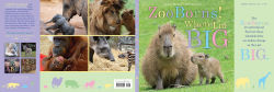 Alternative view 4 of ZooBorns! When I'm Big
