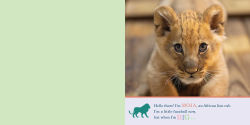 Alternative view 5 of ZooBorns! When I'm Big