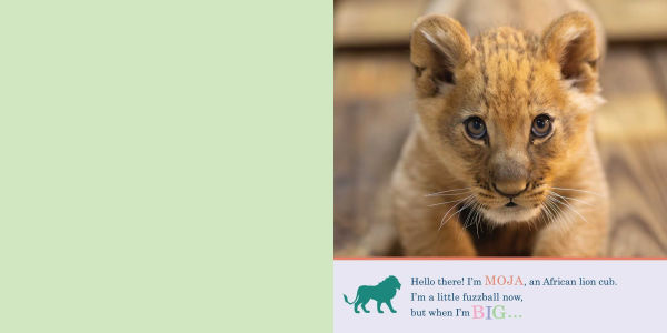 ZooBorns! When I'm Big