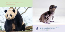 Alternative view 6 of ZooBorns! When I'm Big