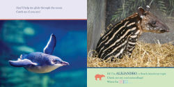 Alternative view 7 of ZooBorns! When I'm Big