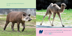 Alternative view 8 of ZooBorns! When I'm Big
