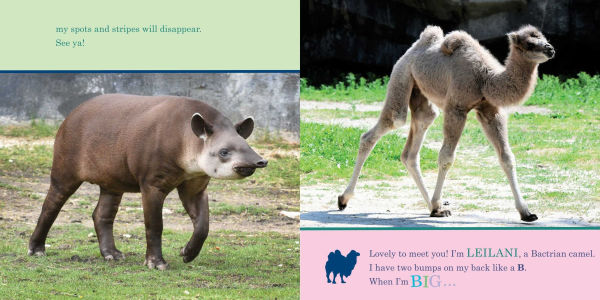 ZooBorns! When I'm Big
