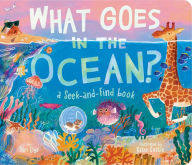Title: What Goes in the Ocean?: A Seek-and-Find Book, Author: Dori Elys
