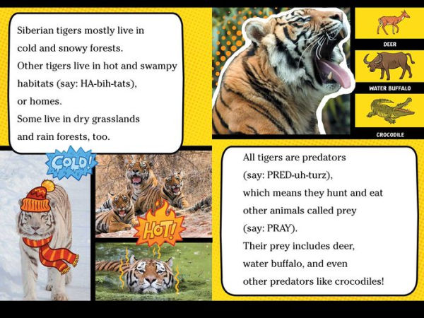 Five Super Fact-Filled Books!: Tigers Can't Purr!; Sharks Can't Smile!; Polar Bear Fur Isn't White!; Snakes Smell with Their Tongues!; Alligators and Crocodiles Can't Chew!