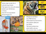 Alternative view 4 of Five Super Fact-Filled Books!: Tigers Can't Purr!; Sharks Can't Smile!; Polar Bear Fur Isn't White!; Snakes Smell with Their Tongues!; Alligators and Crocodiles Can't Chew!