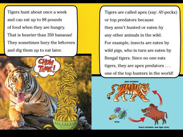 Five Super Fact-Filled Books!: Tigers Can't Purr!; Sharks Can't Smile!; Polar Bear Fur Isn't White!; Snakes Smell with Their Tongues!; Alligators and Crocodiles Can't Chew!