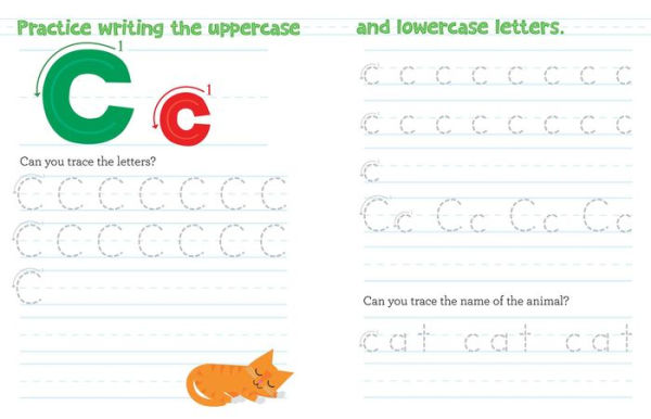 Chicka Chicka Boom Boom Learn to Write Workbook for Preschoolers