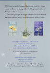 Alternative view 3 of The Way I Used to Be Paperback Collection (Boxed Set): The Way I Used to Be; The Way I Am Now