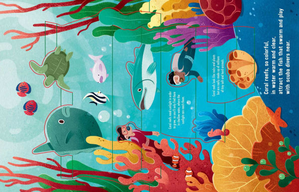 Into the Deep Blue Sea: An Ocean Pop-Up