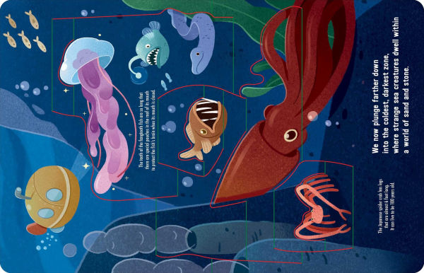 Into the Deep Blue Sea: An Ocean Pop-Up