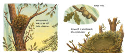Alternative view 3 of Who Nests Here?: Twenty-Four Extraordinary Animal Homes