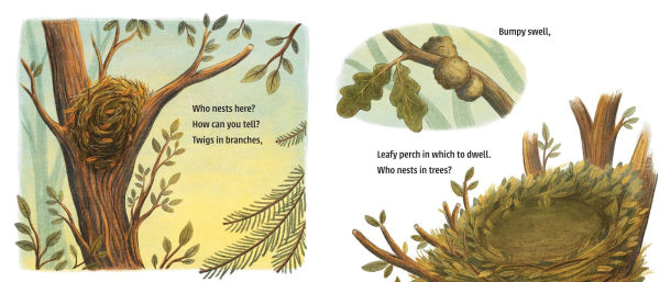 Who Nests Here?: Twenty-Four Extraordinary Animal Homes