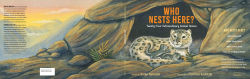 Alternative view 4 of Who Nests Here?: Twenty-Four Extraordinary Animal Homes