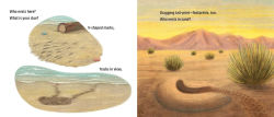 Alternative view 8 of Who Nests Here?: Twenty-Four Extraordinary Animal Homes
