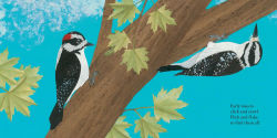 Alternative view 4 of Woodpecker Wham!