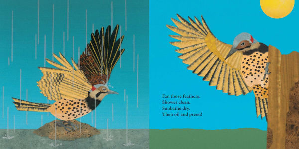 Woodpecker Wham!