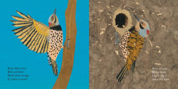 Alternative view 7 of Woodpecker Wham!