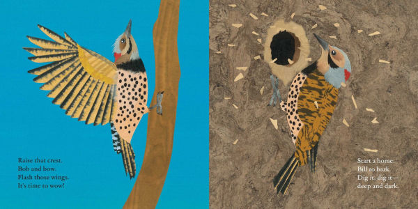 Woodpecker Wham!