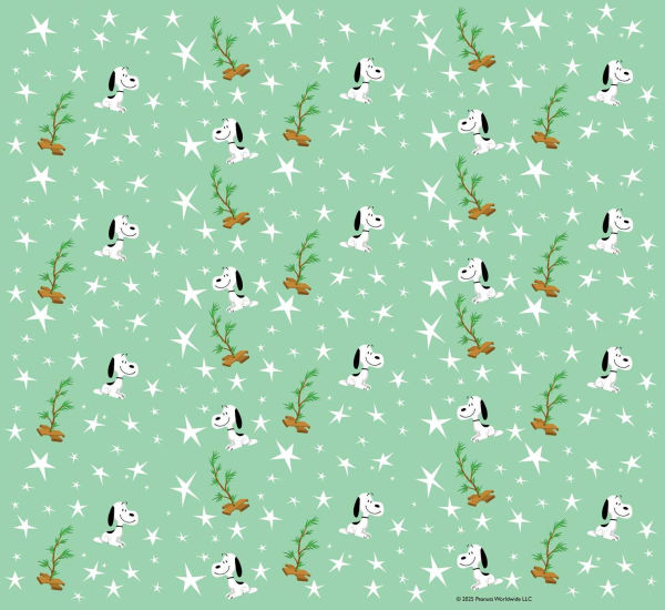 A Charlie Brown Christmas Deluxe Edition with Slipcase