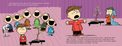 Alternative view 4 of A Charlie Brown Christmas