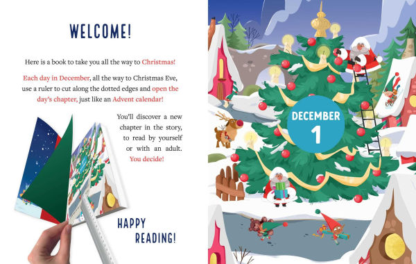 The Christmas Contest: An Advent Novel