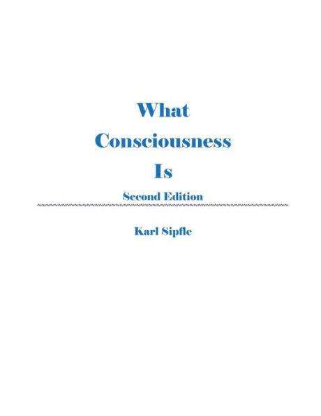 What Consciousness Is