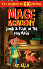 Mage Academy: Trial of the Fire Mage:A Little Book of BIG Choices