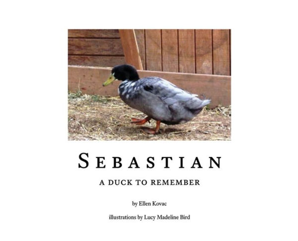 Sebastian, a Duck to Remember