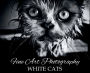Fine Art Photography - White Cats: Black and White Photo Book