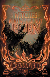 Download online books for ipad The Witches Who Would Not Burn
