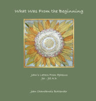 Title: What Was From the Beginning: John's Letters From Ephesus 96 - 98 A.D., Author: Jean Chandanais Bohlender